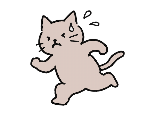 焦っている猫