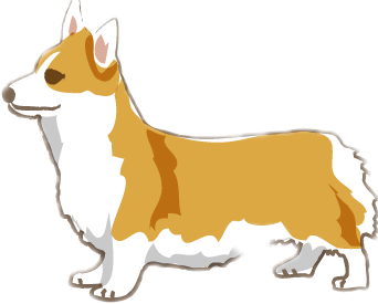 コーギー犬