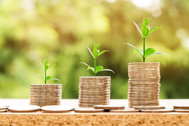 成長していく様子を植物をお金で表現している