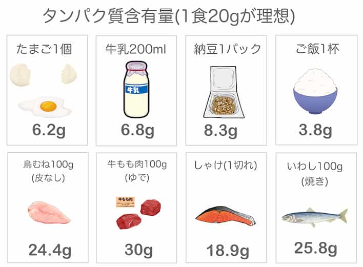 タンパク質含有量一覧表