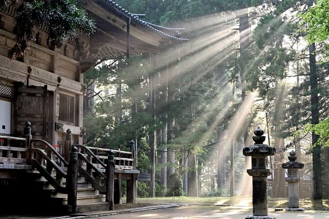 神社に光が差している